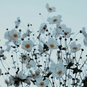 ΚΑΙΡΟΣ ΣΑΒΒΑΤΟ ΚΥΡΙΑΚΗ ΚΡΥΟ