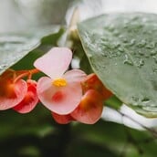 ΚΑΙΡΟΣ ΒΡΟΧΕΣ ΑΘΗΝΑ 