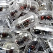 ΚΕΝΥΑ ΜΥΡΜΗΓΚΙΑ ΛΑΘΡΕΜΠΟΡΙΟ