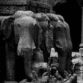 ΝΕΑΝΤΕΡΝΤΑΛ ΕΛΕΦΑΝΤΕΣ ΚΥΝΗΓΙ ΕΡΕΥΝΑ