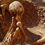 ΣΚΕΛΕΤΟΣ ΓΑΛΛΙΑ ΚΑΘΙΣΤΟΣ ΑΡΧΑΙΟΛΟΓΙΑ ΑΡΧΑΙΟΛΟΓΟΙ