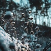 ΚΑΙΡΟΣ ΚΡΥΟ ΠΤΩΣΗ ΘΕΡΜΟΚΡΑΣΙΑΣ 25Η ΜΑΡΤΙΟΥ