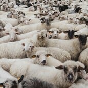 ΛΕΣΒΟΣ ΕΚΤΑΚΤΗ ΑΝΑΓΚΗ ΑΦΘΩΔΗΣ ΠΥΡΕΤΟΣ