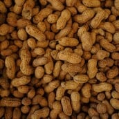 ΕΦΕΤ ΦΙΣΤΙΚΙ ΑΝΑΚΛΗΣΗ