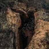 ΚΑΜΠΟΤΖΗ ΣΠΗΛΑΙΟ ΕΙΔΗ ΖΩΑ