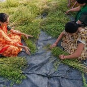 ΙΡΑΝ ΠΟΛΕΜΟΣ ΙΝΔΙΑ ΛΙΠΑΣΜΑΤΑ