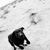 Μουσικάρες για ένα Σάββατο. Ο Στάθης Τσαγκαρουσιάνος επιλέγει.