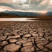 ΞΗΡΑΣΙΑ ΑΝΤΙΒΙΟΤΙΚΑ ΕΡΕΥΝΑ
