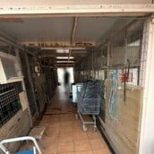 ΑΜΠΕΛΟΚΗΠΟΙ ΠΑΡΑΝΟΜΗ ΕΚΤΡΟΦΗ ΚΟΤΟΠΟΥΛΑ ΔΙΚΟΓΡΑΦΙΑ ΤΑΡΑΤΣΑ