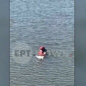 ΓΛΑΡΟΣ ΘΕΡΜΗ ΔΙΑΣΩΣΗ