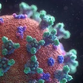 ΚΟΡΩΝΟΙΟΣ CICADA ΣΥΜΠΤΩΜΑΤΑ ΕΙΔΙΚΟΙ