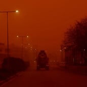 ΚΡΗΤΗ ΑΦΡΙΚΑΝΙΚΗ ΣΚΟΝΗ ΠΤΗΣΕΙΣ