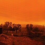 ΚΡΗΤΗ ΑΦΡΙΚΑΝΙΚΗ ΣΚΟΝΗ ΠΟΡΤΟΚΑΛΙ