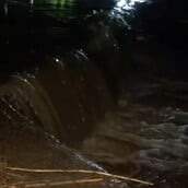 ΣΠΑΤΑ ΟΔΟΣ ΠΕΥΚΟΥ ΡΕΜΑ ΥΠΕΡΧΕΙΛΙΣΗ ΚΑΚΟΚΑΙΡΙΑ ΚΑΙΡΟΣ