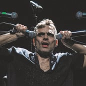 Κυνηγός φωνών και φαντασμάτων 