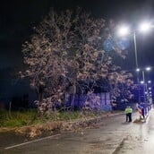 ΚΑΚΟΚΑΙΡΙΑ ERMINIO ΝΕΚΡΟΣ ΝΕΑ ΜΑΚΡΗ