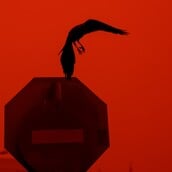 ΚΡΗΤΗ ΑΦΡΙΚΑΝΙΚΗ ΣΚΟΝΗ ΗΡΑΚΛΕΙΟ ΣΥΓΚΕΝΤΡΩΣΕΙΣ