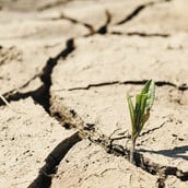 ΠΟΥ και Lancet προειδοποιούν ότι η κλιματική κρίση στοιχίζει 10 εκατ. ζωές ετησίως 