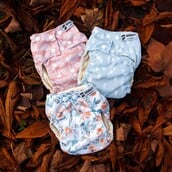 ΙΑΠΩΝΙΑ ΠΑΝΕΣ ΑΝΑΚΥΚΛΩΣΗ