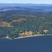 ΝΕΚΡΑ ΣΚΥΛΙΑ ΣΙΑΤΛ ΗΠΑ