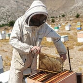 Πώς φροντίζεις 600 κυψέλες στο νησί της Καρπάθου;