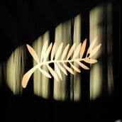 Ανακοινώθηκε η επίσημη επιλογή των Καννών 2026 με Αλμοδόβαρ, Φαραντί και Παβλικόφσκι