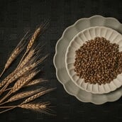 ΑΡΧΑΙΑ ΔΗΜΗΤΡΙΑΚΑ ΔΙΑΤΡΟΦΗ ΜΟΔΑ