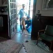 ARTEMIS II ΚΡΙΣΤΙΝΑ ΚΟΧ ΣΚΥΛΟΣ ΕΠΑΝΕΝΩΣΗ