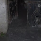 ΚΥΨΕΛΗ ΤΣΙΜΕΝΤΟ ΔΙΑΡΡΟΗ