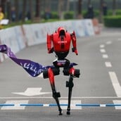 ΗΜΙΜΑΡΑΘΩΝΙΟΣ ΡΟΜΠΟΤ ΠΕΚΙΝΟ