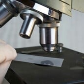 ΟΡΑΣΗ ΘΕΡΑΠΕΙΑ ΒΡΑΒΕΙΑ ΤΥΦΛΩΣΗ ΑΝΑΙΜΙΑ