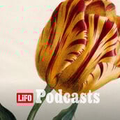 Πώς ένας βολβός θα σου δώσει το πιο όμορφο λουλούδι