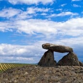 ΠΑΡΙΣΙ ΑΝΤΙΚΑΤΑΣΤΑΣΗ ΠΛΗΘΥΣΜΟΣ