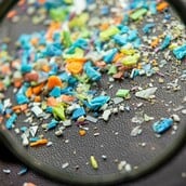 ΝΕΡΟ ΜΙΚΡΟΠΛΑΣΤΙΚΑ ΔΕΝΤΡΟ