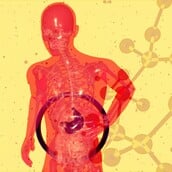 ΕΝΤΕΡΟ ΠΑΡΚΙΝΣΟΝ ΜΙΚΡΟΒΙΩΜΑ ΕΝΤΕΡΟΥ