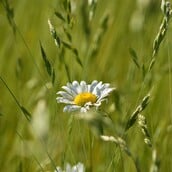 ΚΑΙΡΟΣ ΒΡΟΧΕΣ ΗΛΙΟΣ ΣΑΒΒΑΤΟΚΥΡΙΑΚΟ