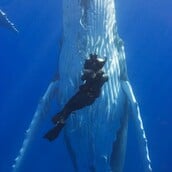 Πέθανε ο Νταγκ Άλαν, ο θρυλικός κάμεραμαν των πολικών ντοκιμαντέρ του Ντέιβιντ Άτενμπορο