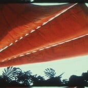 Η 9η Μπιενάλε Θεσσαλονίκης λέει πως «όλα πρέπει να αλλάξουν»