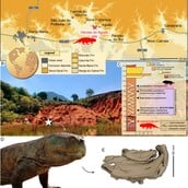 ΔΕΙΝΟΣΑΥΡΟΙ ΒΡΑΖΙΛΙΑ ΣΚΩΤΙΑ