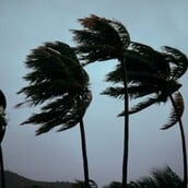 ΦΙΤΖΙ ΚΥΚΛΩΝΕΣ