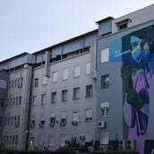 ΓΕΝΙΚΟ ΚΡΑΤΙΚΟ ΝΙΚΑΙΑΣ ΟΠΛΟ ΣΥΛΛΗΨΗ