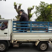 ΛΕΣΒΟΣ ΜΥΤΙΛΗΝΗ ΚΤΗΝΟΤΡΟΦΟΙ ΚΙΝΗΤΟΠΟΙΗΣΗ ΑΦΘΩΔΗΣ ΠΥΡΕΤΟΣ