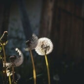 ΚΑΙΡΟΣ ΠΡΩΤΟΜΑΓΙΑ