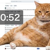 ΓΑΤΑ CHROME BROSWER EXTENSIONφ