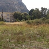 ΚΑΘΑΡΙΣΜΟΣ ΟΙΚΠΕΔΩΝ ΠΡΟΣΤΙΜΑ ΠΡΟΘΕΣΜΙΑ