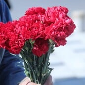 ΠΡΩΤΟΜΑΓΙΑ ΜΜΜ ΜΕΣΑ ΜΕΤΑΦΟΡΑΣ ΑΠΕΡΓΙΑ