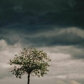 ΚΑΙΡΟΣ ΠΡΩΤΟΜΑΓΙΑ ΒΡΟΧΕΣ