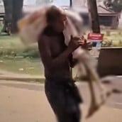ΙΝΔΙΑ ΣΚΕΛΕΤΟΣ ΑΔΕΛΦΗ