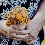 ΓΗΡΟΚΟΜΕΙΟ ΑΜΠΕΛΟΚΗΠΟΙ ΕΦΟΔΟΣ ΠΑΡΑΝΟΜΟ