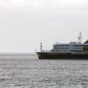 ΧΑΝΤΑΙΟΣ ΟΛΛΑΝΔΟΙ ΤΟΥΡΙΣΤΕΣ ΚΡΟΥΣΜΑΤΑ ΑΡΓΕΝΤΙΝΗ